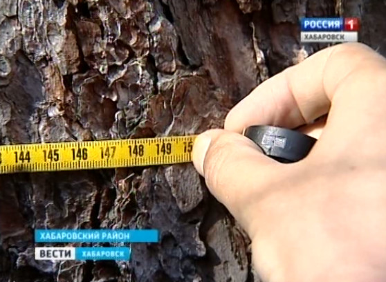 Конференция лесников