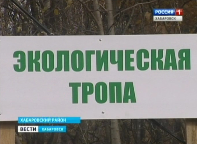 Восстановлена экологическая тропа в уникальной лесной зоне