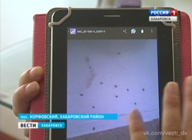 Новое жильё — новые проблемы