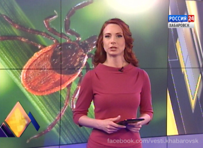 Дайджест недели