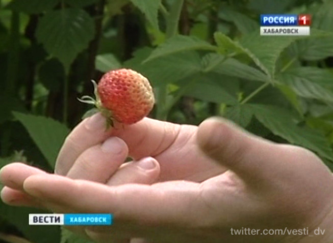 Снижение численности гнуса