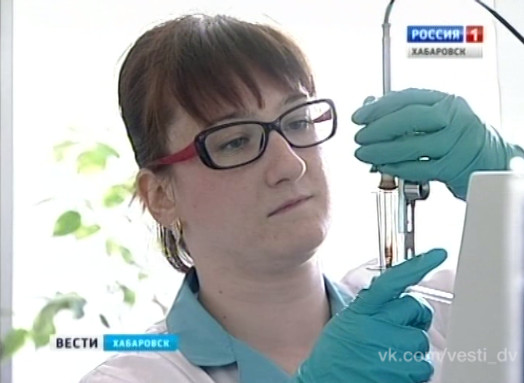 Какое топливо реализуется на АЗС Хабаровска
