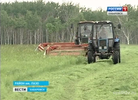 Сенокос в сырое лето