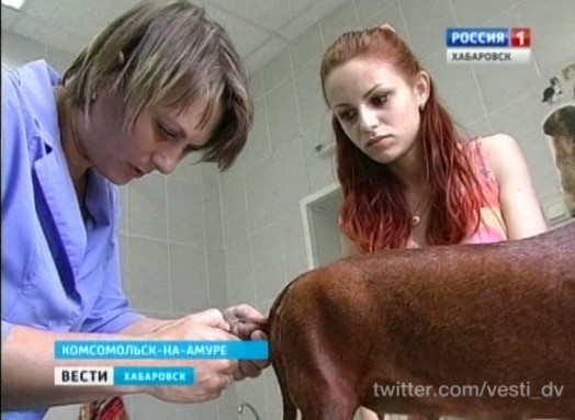 Перепись домашних животных