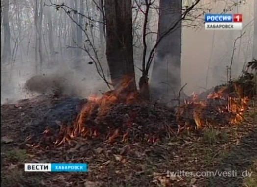 Снижение числа лесных пожаров