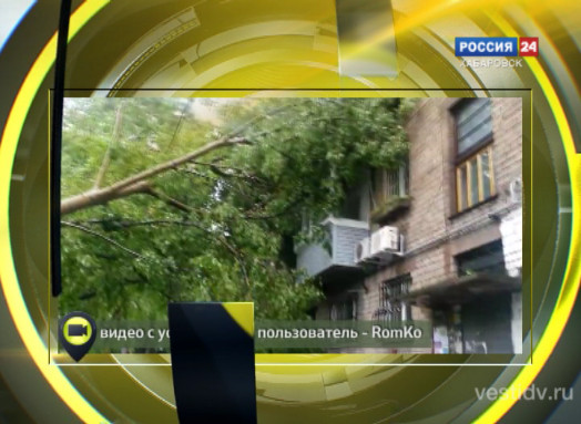 Мобильный репортер