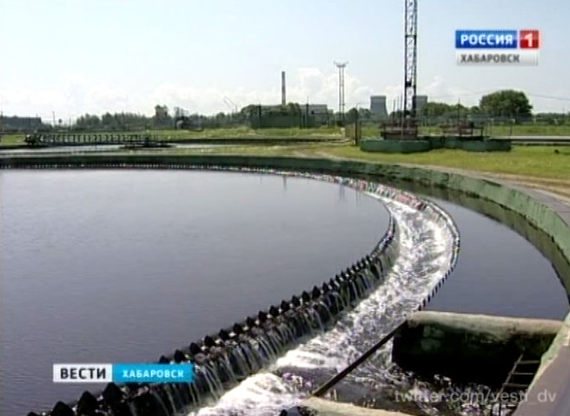 Качество сточных вод Хабаровска инспектируют рыбы