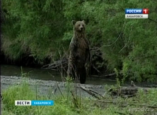 Памятка о правильном поведении в лесу