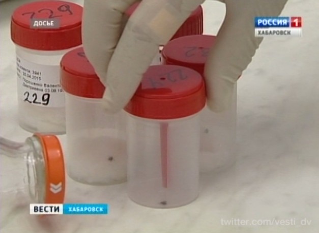 Количество пострадавших от укусов клещей снизилось