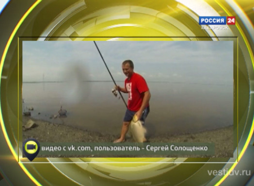 Мобильный репортер
