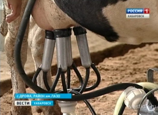 Конкурс доярок