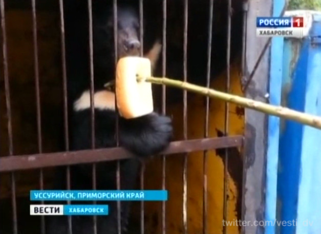 Помощь тонущему зоопарку в Уссурийске