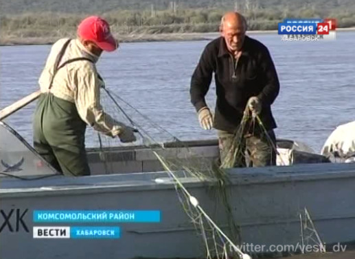 Лицензионный лов кеты