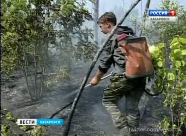 Один природный пожар