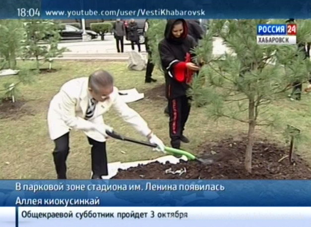 Аллея киокусинкай