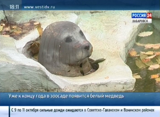 Приамурский зоосад подвел итоги года