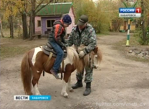 Иппотерапия для детей с ограниченными возможностями