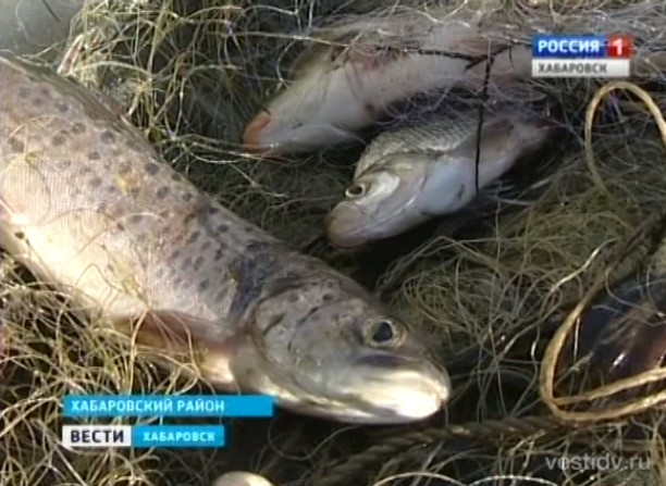 Научная рыбалка