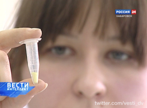 Вести: Интеллект. Конкурс инновационных проектов «УМНИК»
