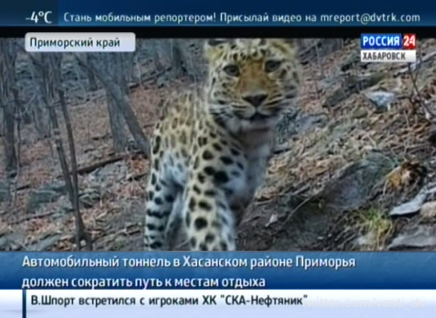 Возведение Нарвинского тоннеля в Приморье