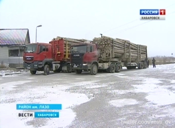 Операция «Лес»