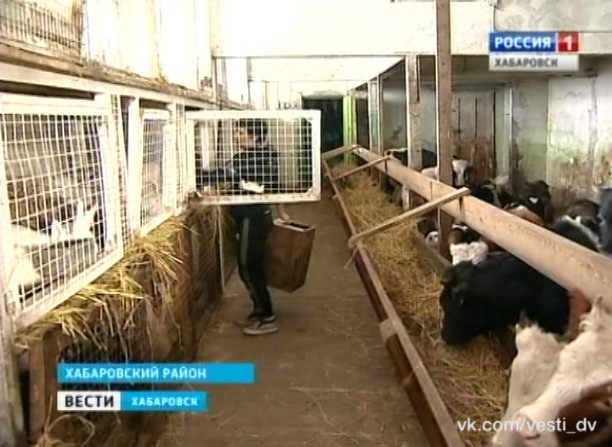 Гранты на развитие крестьянско-фермерских подворий