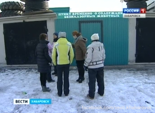 Исчезнувшие собаки