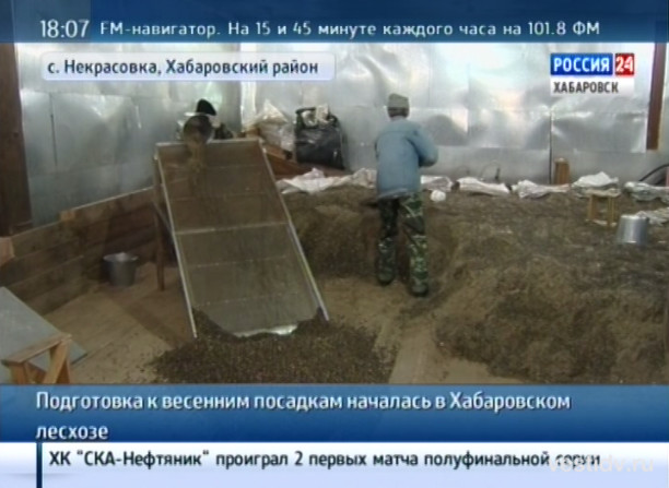 Подготовка к весенним посадкам деревьев