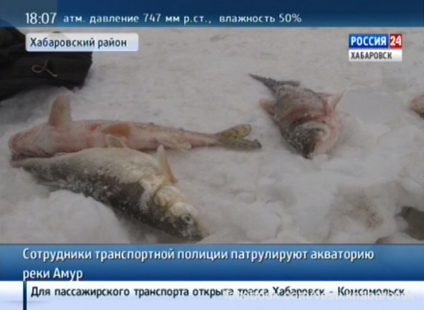 Транспортная полиция патрулирует акваторию реки Амур