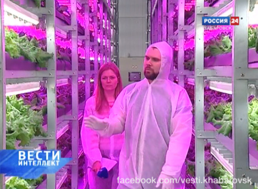 Вести: Интеллект. Гидропоника