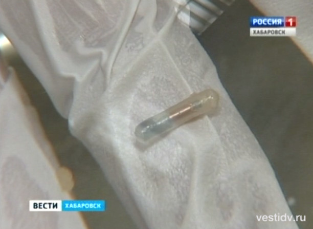 Говядина с электронной начинкой