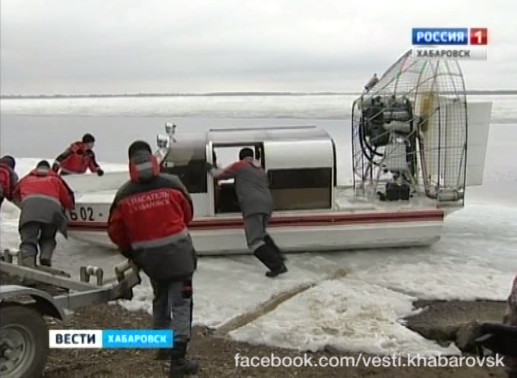 Бурый медведь объявился на острове Кабельный