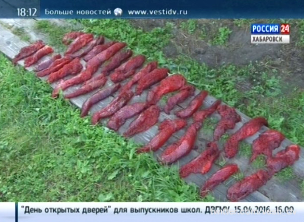 Лососевая ОПГ