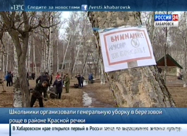 Субботник в березовой роще