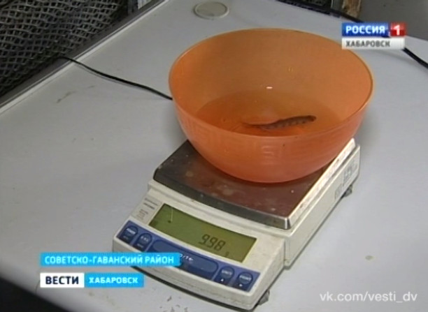 Рыборазводный завод в Советско-Гаванском районе