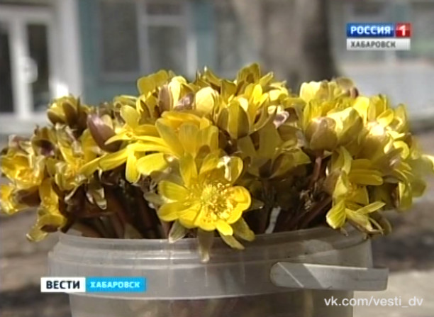Борьба со стихийными рынками