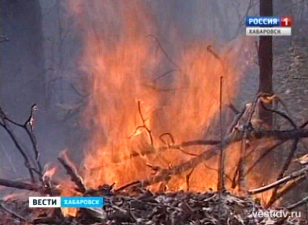 Зарегистрировано два природных пожара