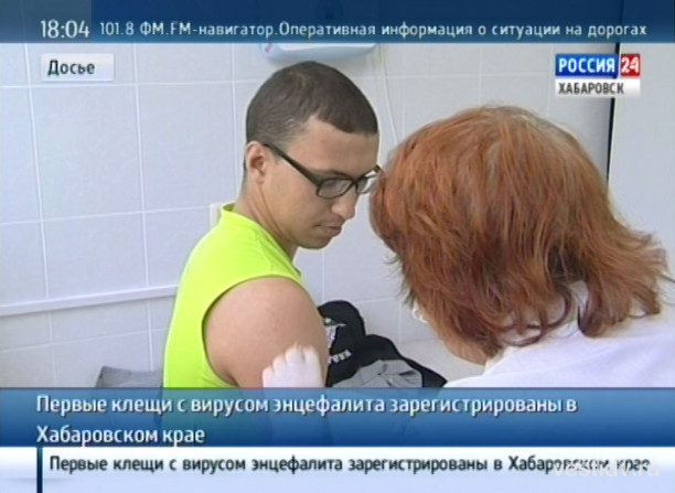 Первые клещи с энцефалитом
