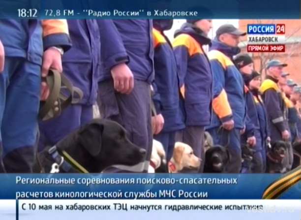 Региональные соревнования кинологов МЧС России