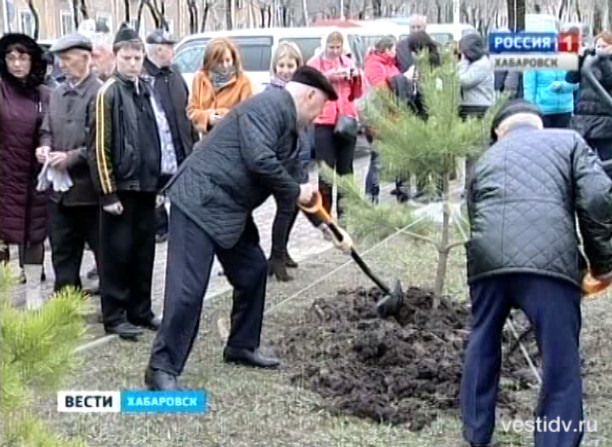 Торжественное открытие «Аллеи победы»