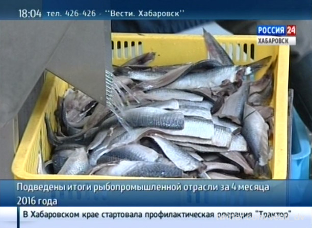 Итоги рыбопромышленной отрасли за 4 месяца 2016 года