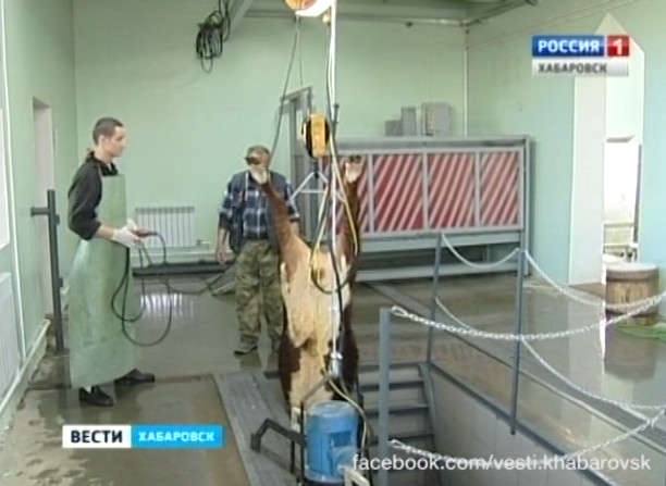 Первый специализированный убойный цех