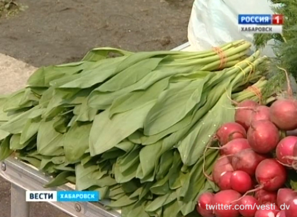 Черемша и отравления