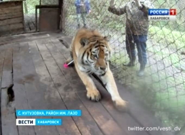 Обучение охотоведов