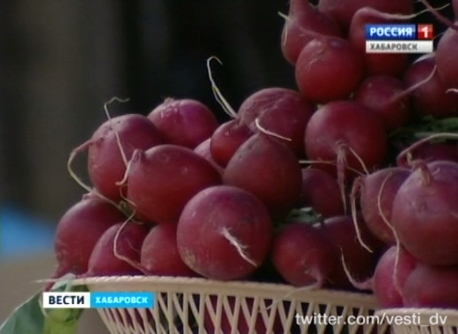 Начала работу ярмарка выходного дня