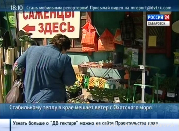 Когда наступит настоящее лето
