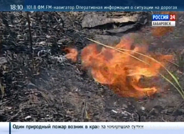 Один природный пожар