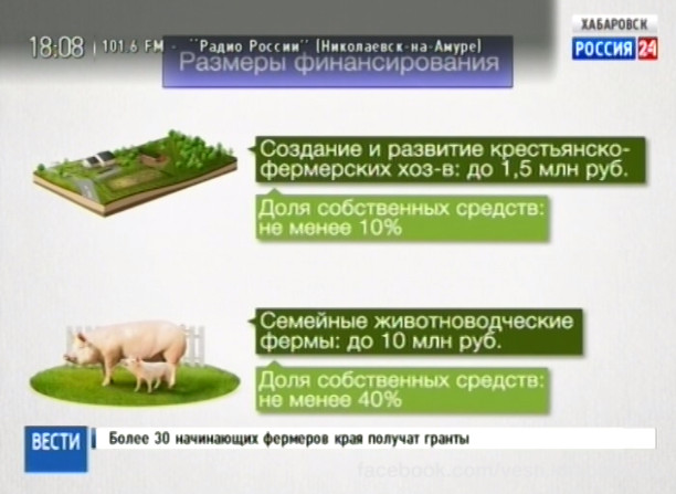 Гранты начинающим фермерам