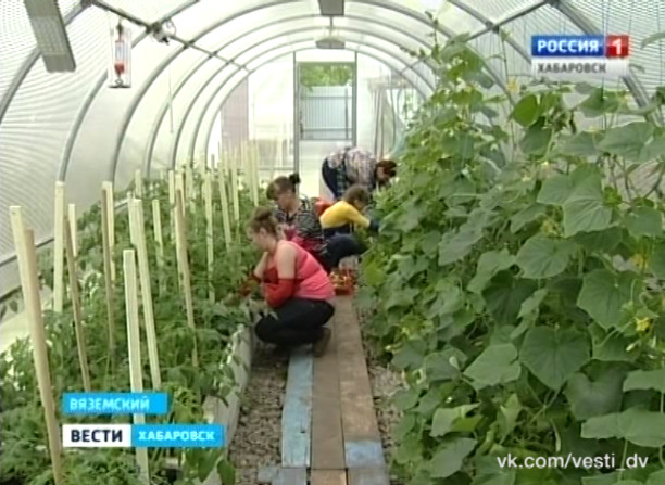 Агрокомплекс в коррекционной школе