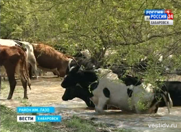 Посевная «утонула»